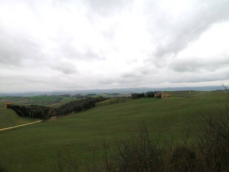 Terreno a Murlo - Foto 3