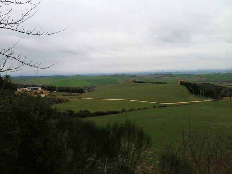 Terreno a Murlo - Foto 4