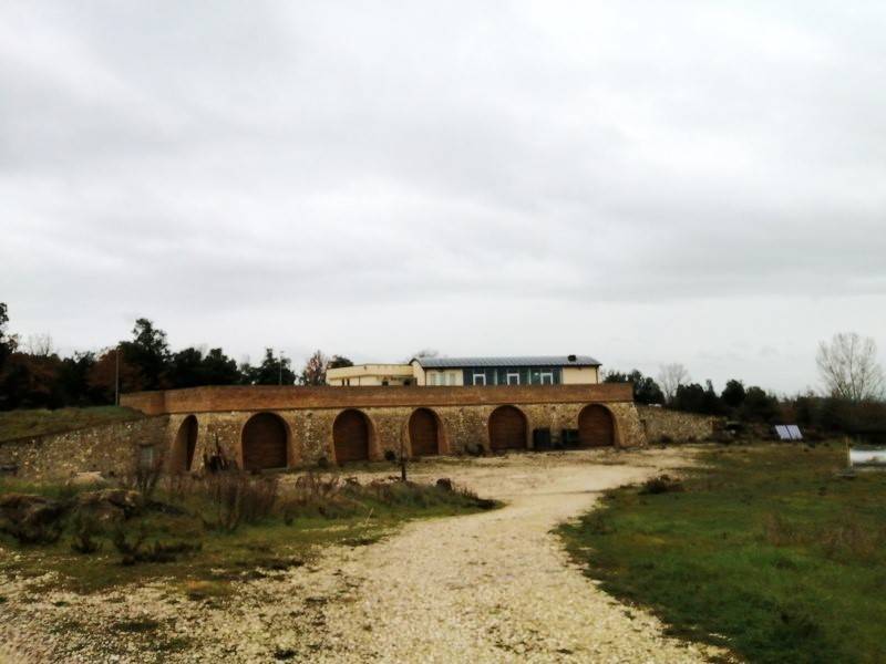 Terreno a Murlo - Foto 5