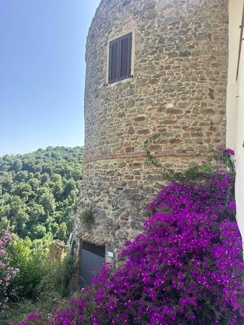 Casa indipendente a Magliano in toscana - Foto 2