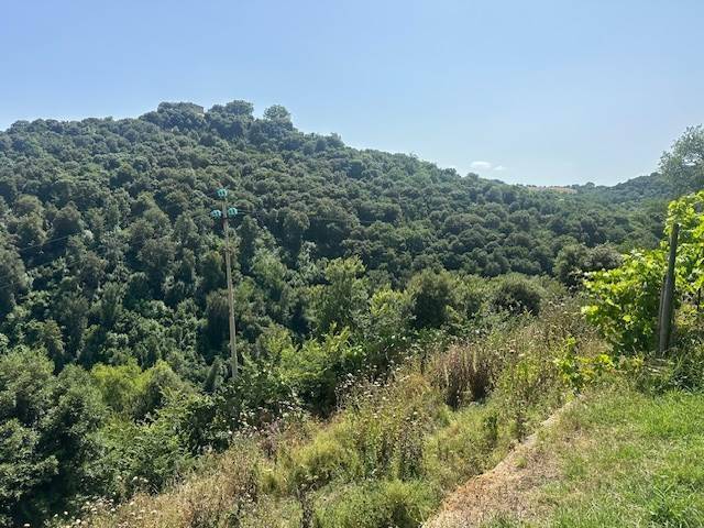Casa indipendente a Magliano in toscana - Foto 5