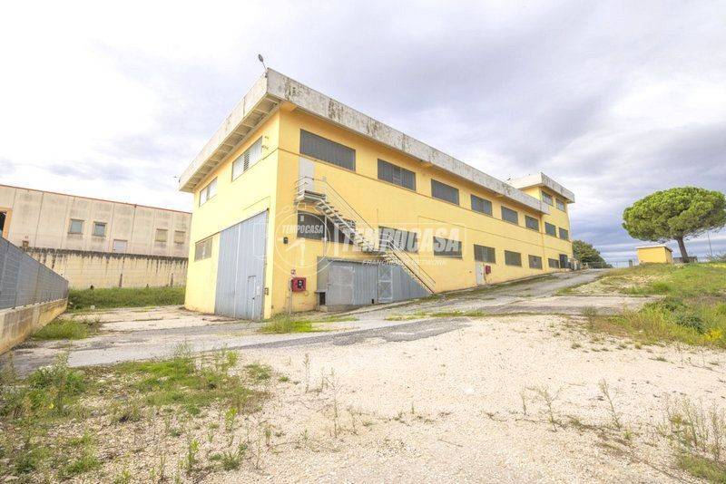 Immobile a Appignano in Via Guglielmo Marconi - Foto 5