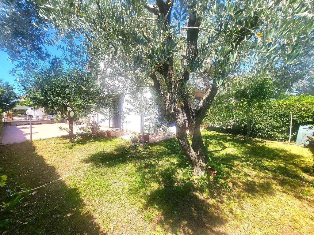 Villa a Capranica in Viale Laura - Foto 4