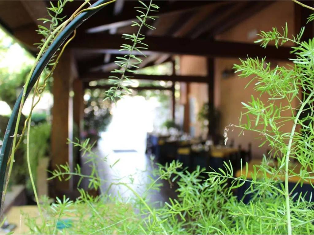 Palazzo / stabile a Piegaro - Foto 5