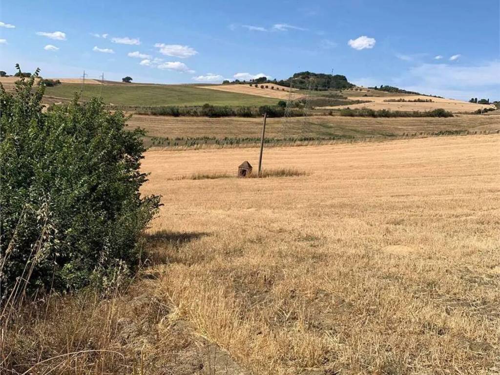 Rustico / casale a Arcidosso - Foto 4