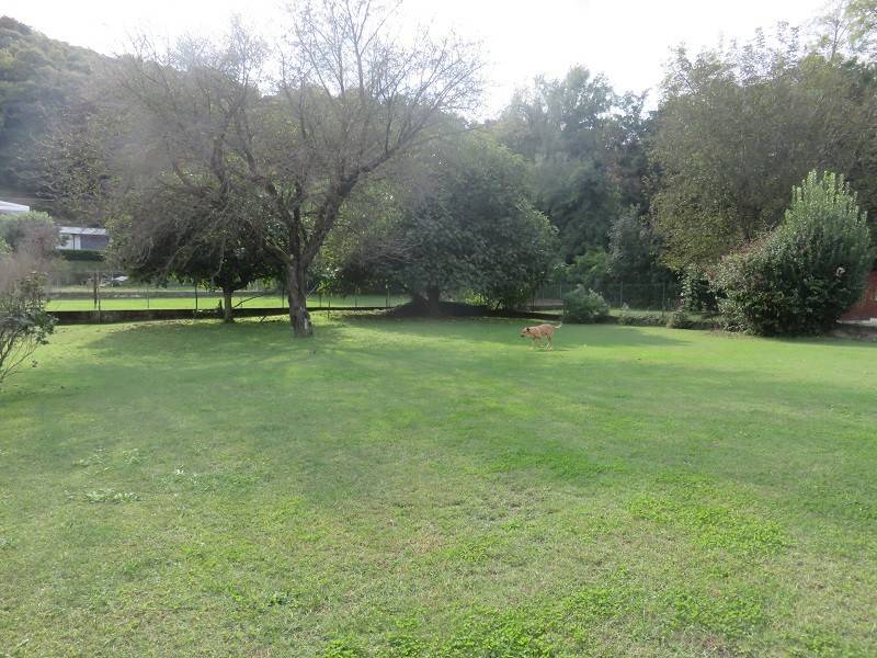 Villa a Castelletto sopra ticino - Foto 2