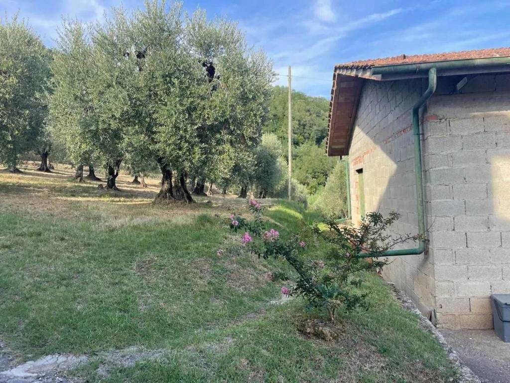 Rustico / casale a Serravalle pistoiese in Via Lucchese, 1 - Foto 5