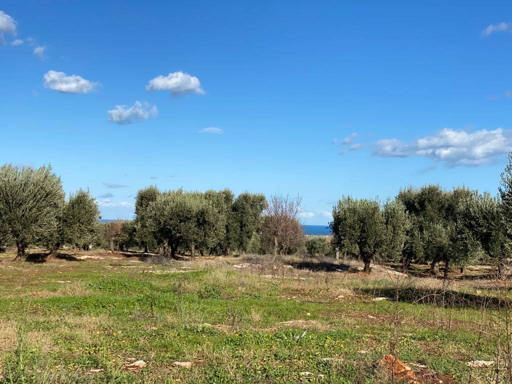 Terreno a Carovigno in Contrada Caselli Morggicchio - Foto 2