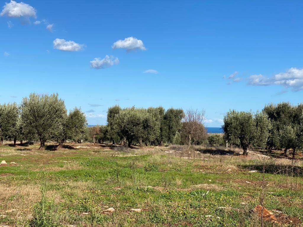 Terreno a Carovigno in Contrada Caselli Morggicchio - Foto 3