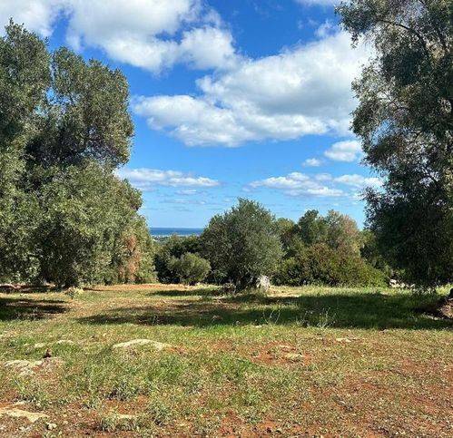 Terreno a Carovigno in Strada Provinciale 34 - Foto 3