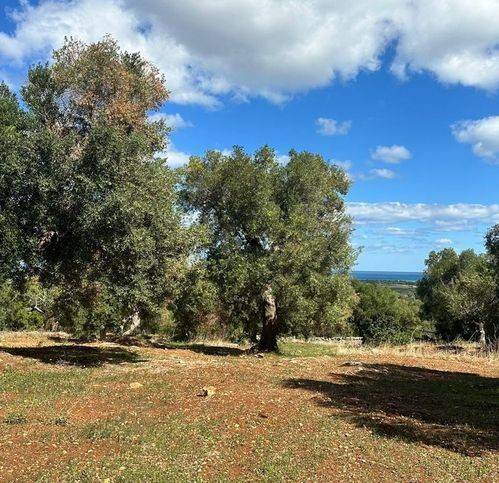 Terreno a Carovigno in Strada Provinciale 34 - Foto 5