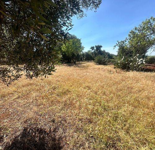 Terreno a Carovigno in Strada Valente - Foto 4