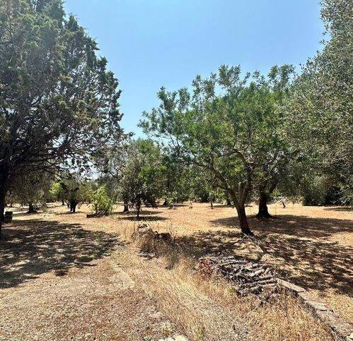Terreno a San michele salentino in Contrada Cotogni - Foto 2