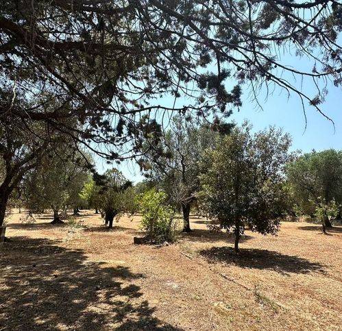 Terreno a San michele salentino in Contrada Cotogni - Foto 4