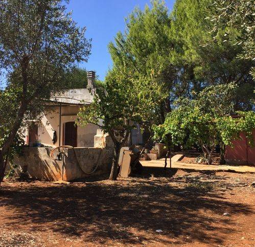 Rustico / casale a Ostuni in Giovani - Foto 4