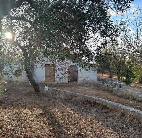 Rustico / casale a Carovigno in Contrada Colombo - Foto 3