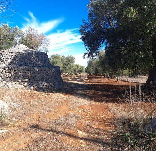 Rustico / casale a Carovigno in Contrada Masseriola - Foto 2