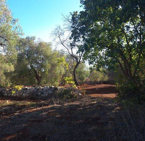 Rustico / casale a Carovigno in Contrada Masseriola - Foto 4
