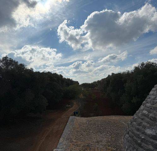 Rustico / casale a Carovigno in Contrada Aspri - Foto 3