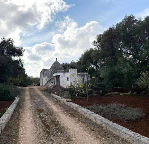 Rustico / casale a Carovigno in Contrada Aspri - Foto 4