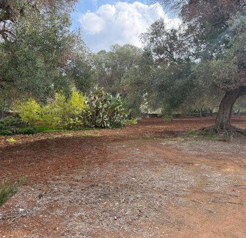 Rustico / casale a Carovigno in Contrada Aspri - Foto 5