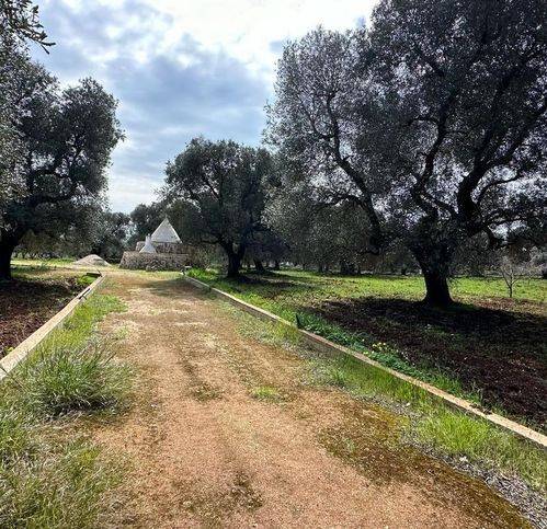 Rustico / casale a Carovigno in Contrada Bottafio - Foto 2