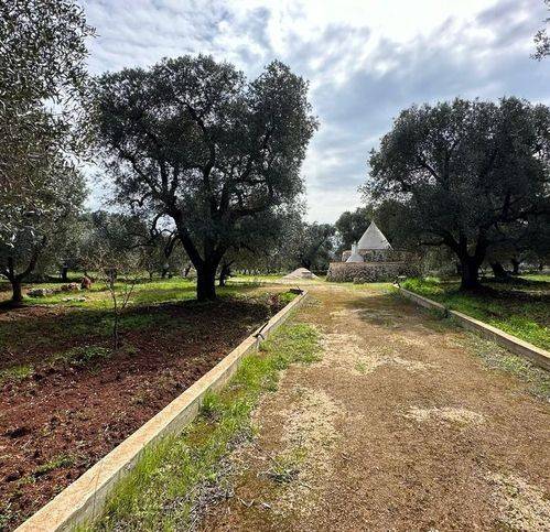 Rustico / casale a Carovigno in Contrada Bottafio - Foto 3