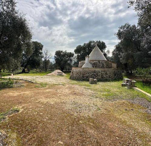Rustico / casale a Carovigno in Contrada Bottafio - Foto 4