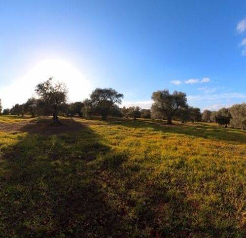 Rustico / casale a Ostuni in SP22 - Foto 5