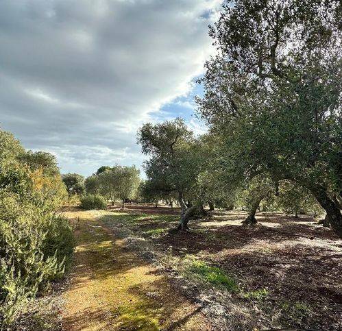 Rustico / casale a Ostuni in Contrada Paradiso - Foto 2