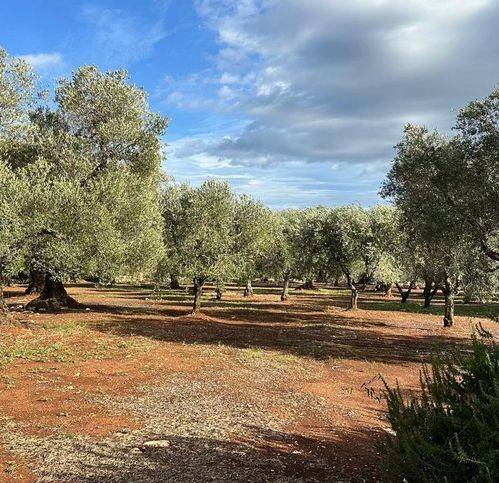 Rustico / casale a Ostuni in Contrada Paradiso - Foto 3