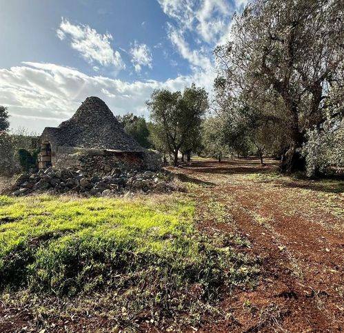 Rustico / casale a Ostuni in Contrada Paradiso - Foto 4