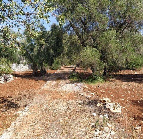 Rustico / casale a Ostuni in Strada Comunale 149 - Foto 2