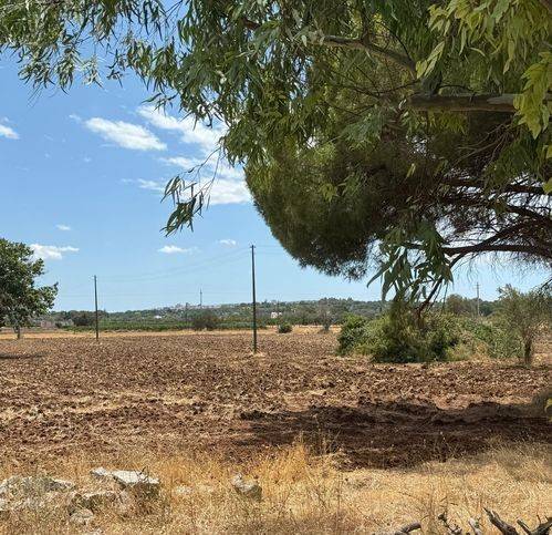 Rustico / casale a Ceglie messapica in Contrada Campoorlando - Foto 5