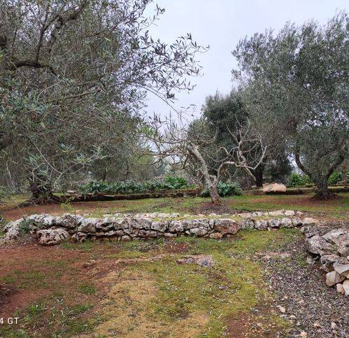 Rustico / casale a Ceglie messapica in Via Farfara - Foto 2