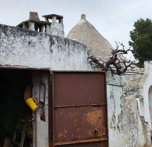 Rustico / casale a Ceglie messapica in Via Farfara - Foto 3