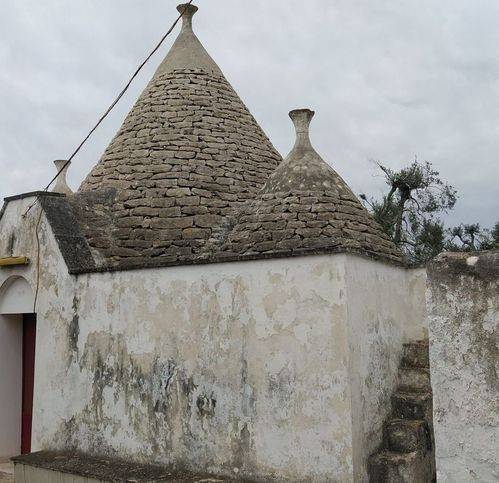 Rustico / casale a Ceglie messapica in Omgarden - Foto 2