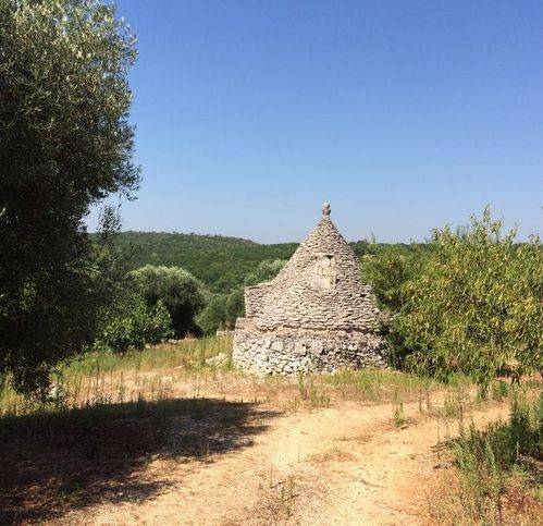 Rustico / casale a Ceglie messapica in Strada Provinciale 22 - Foto 2