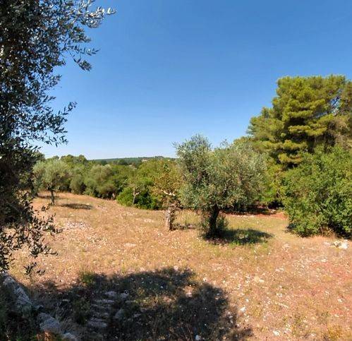 Rustico / casale a Ceglie messapica in Strada Provinciale 16 - Foto 4