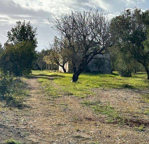 Rustico / casale a Ostuni in Contrada Piatone - Foto 3