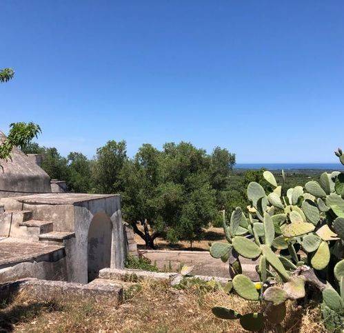 Rustico / casale a Ostuni in Contrada Grottone - Foto 5