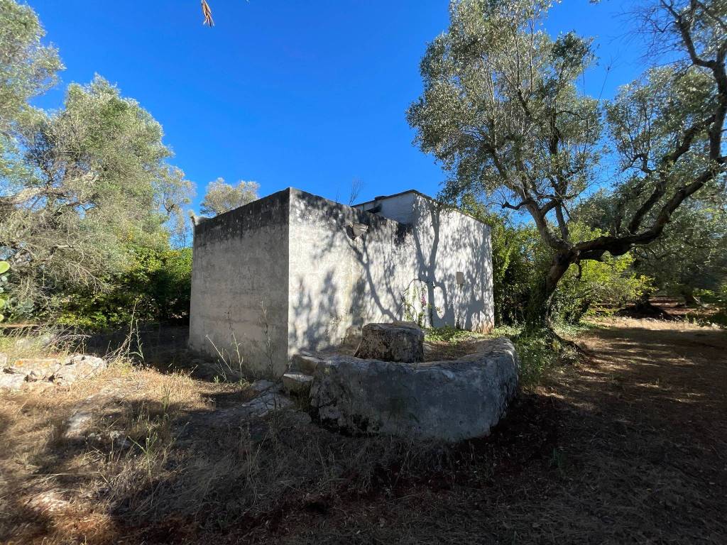 Rustico / casale a Ceglie messapica in SS581 - Foto 3