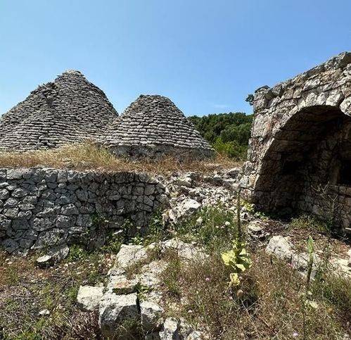 Rustico / casale a Ostuni in Strada Provinciale 14 - Foto 4
