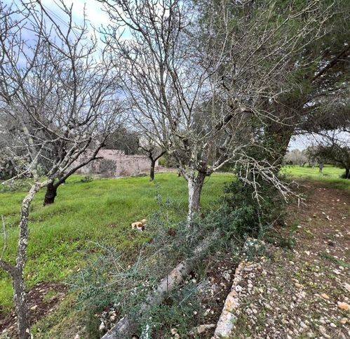 Rustico / casale a Ostuni in Contrada Piatone - Foto 4