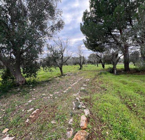 Rustico / casale a Ostuni in Contrada Piatone - Foto 5