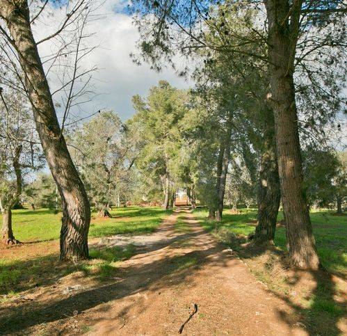 Rustico / casale a San michele salentino in Contrada Augelluzi - Foto 3
