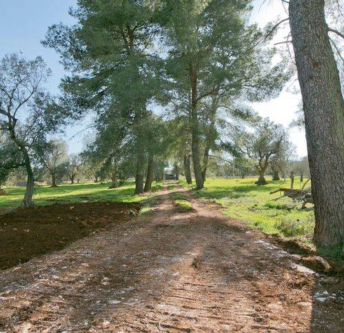 Rustico / casale a San michele salentino in Contrada Augelluzi - Foto 5