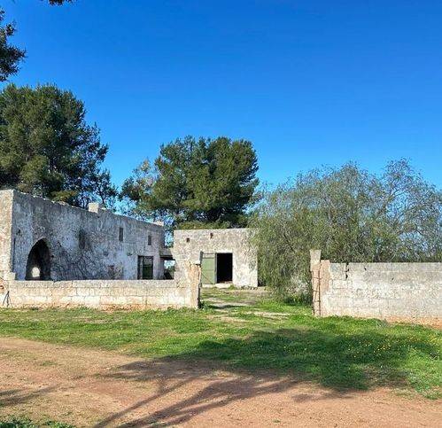 Rustico / casale a Carovigno in Contrada Mattera - Foto 3