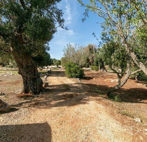 Villa a Carovigno in Strada Provinciale 34 - Foto 3