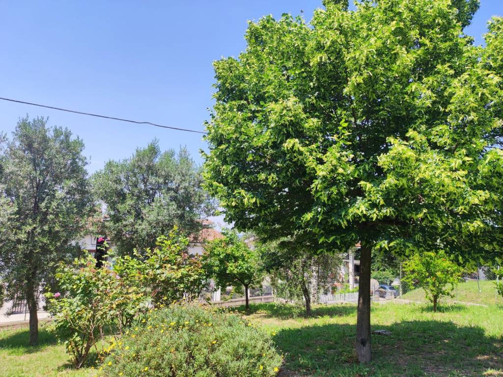 Villa a Torino di sangro in Via Monte Secco, 1 - Foto 5